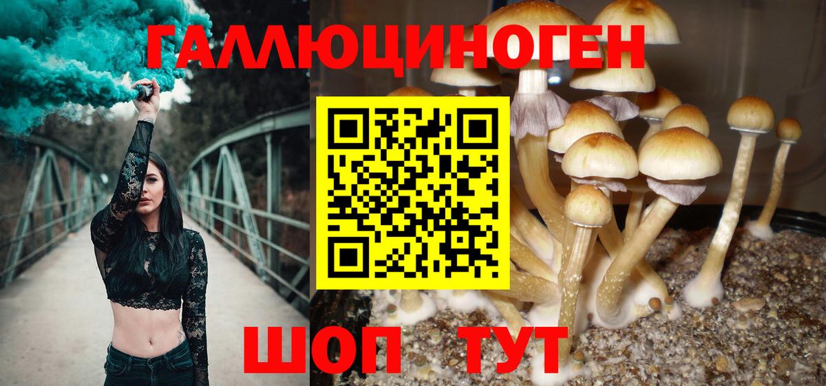 Тара  Галлюциногенные грибы прущие грибы  Вход с VPN  магазин продажи наркотиков  Галлюциногенные грибы Psilocybine cubensis 